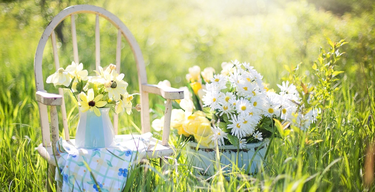 summer-still-life-779386_1280