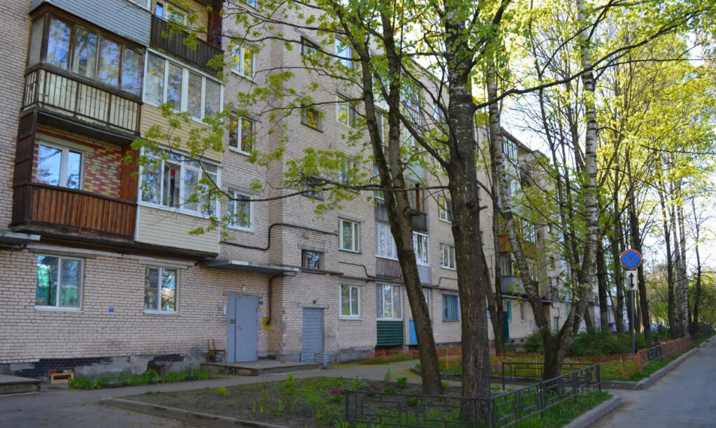 Ренессанс Петербурга: История и Живой Пульс Пискарёвского Проспекта
